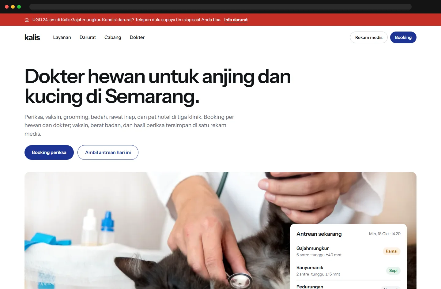 Veterinary Clinic Website